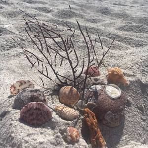 Meet your Posher, Judy